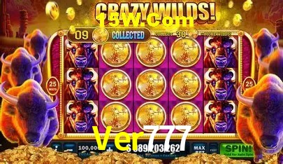 Suporte prioritário e eventos VIP